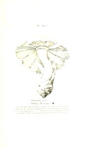 n484_w1150
