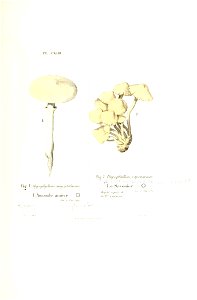 n454_w1150