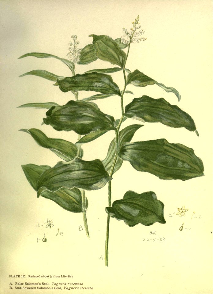n46_w1150