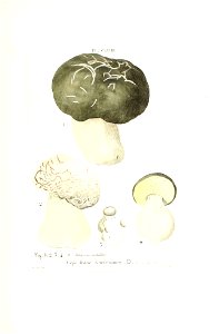 n510_w1150