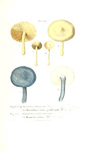 n390_w1150