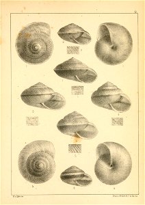 n484_w1150