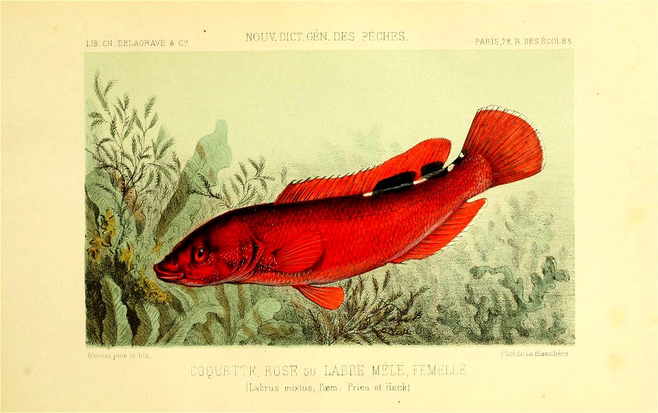 n475_w1150