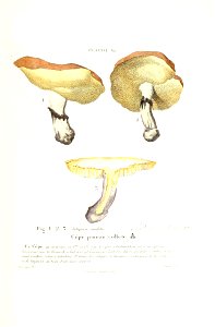n506_w1150