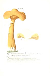 n424_w1150