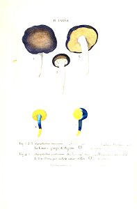 n326_w1150