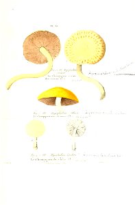 n334_w1150