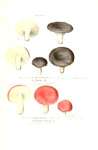 n304_w1150