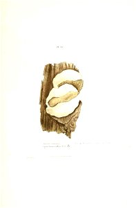 n184_w1150