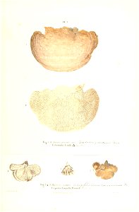 n154_w1150