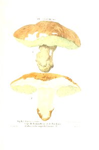 n512_w1150