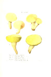 n542_w1150