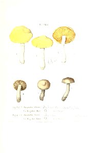 n452_w1150