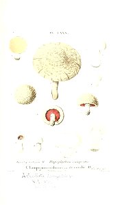 n422_w1150