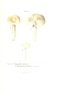 n392_w1150