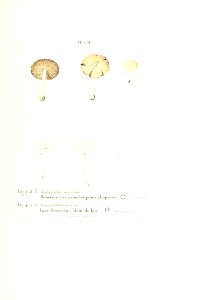 n362_w1150