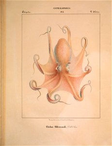 n156_w1150