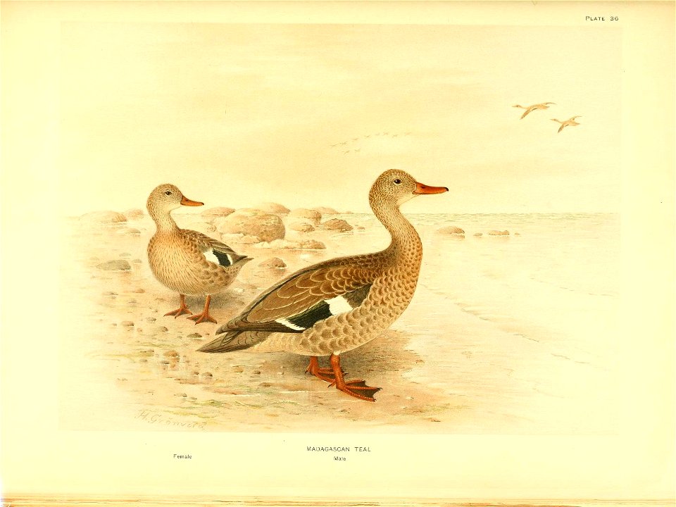 n402_w1150