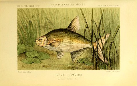 n140_w1150