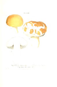 n508_w1150