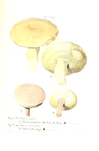n538_w1150