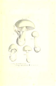 n478_w1150