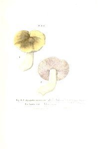 n266_w1150