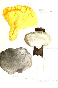 n176_w1150