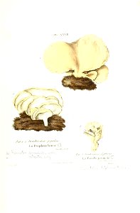 n206_w1150