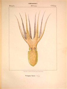 n182_w1150