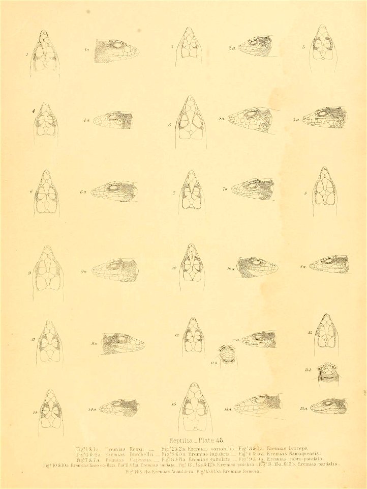n300_w1150