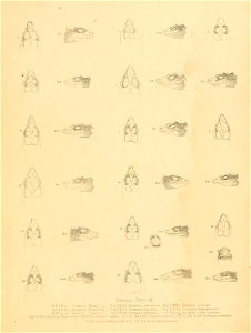 n300_w1150