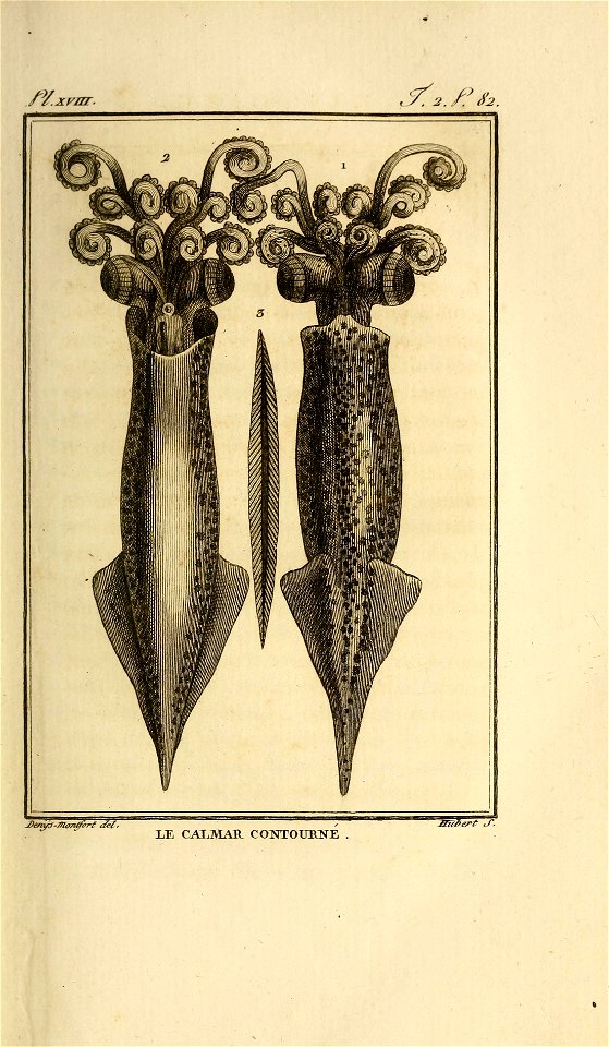 n108_w1150