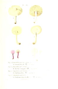 n388_w1150