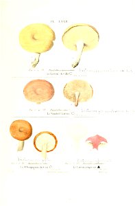 n298_w1150