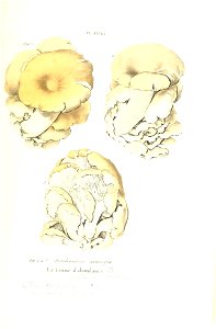 n208_w1150
