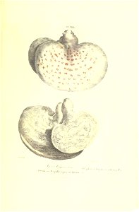 n178_w1150