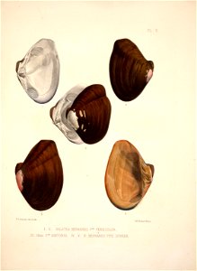 n78_w1150