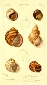 n468_w1150
