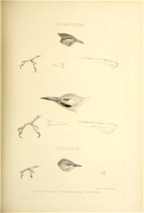 n316_w1150