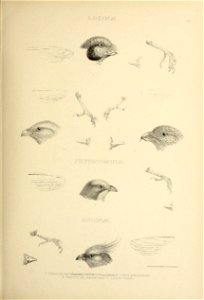 n202_w1150