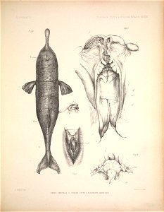 n110_w1150