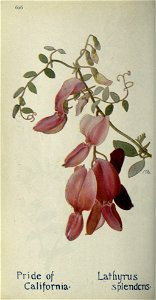 n639_w1150