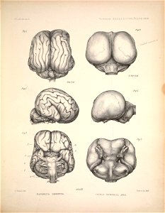 n106_w1150