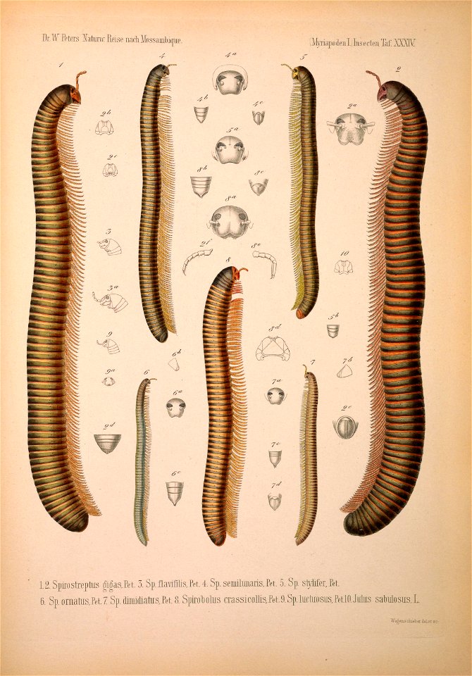 n662_w1150