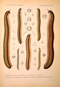n662_w1150