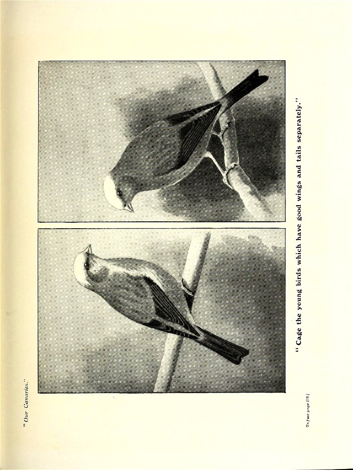 n368_w1150