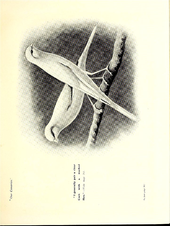 n112_w1150