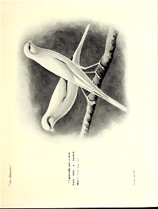 n112_w1150