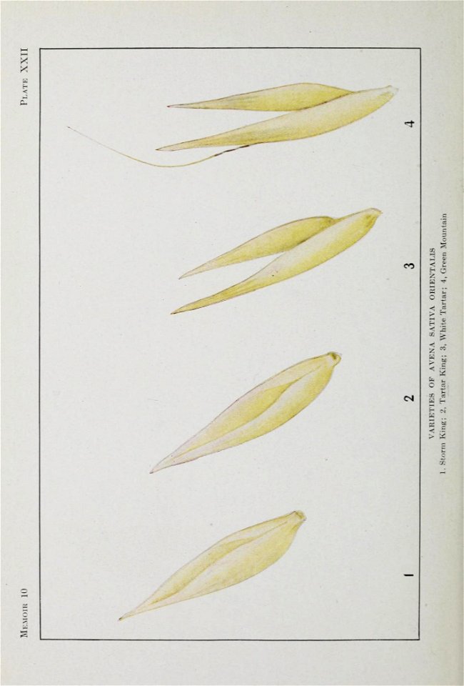 n121_w1150
